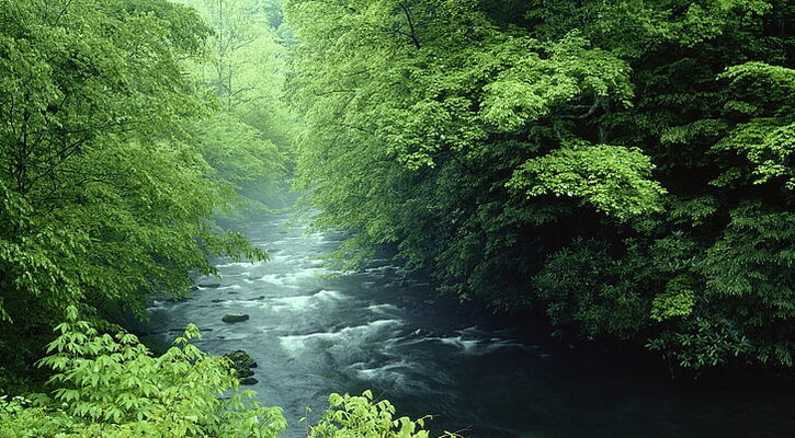Karadeniz Turu 3 Gece Konaklama